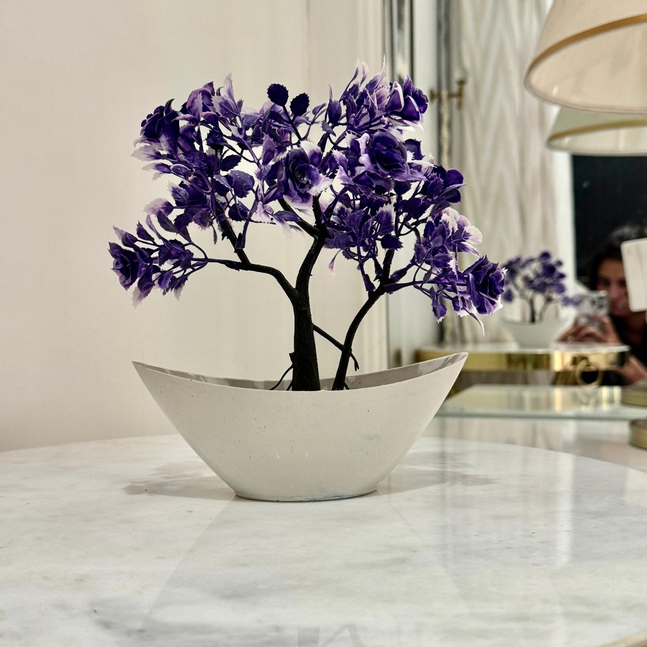 Miniature Tree planter for Home and Office Decor - imixpress.com