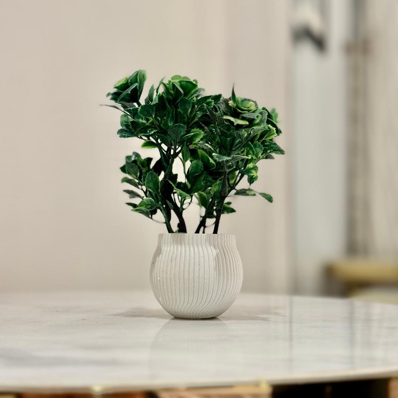 Miniature Tree planter for Home and Office Decor - imixpress.com