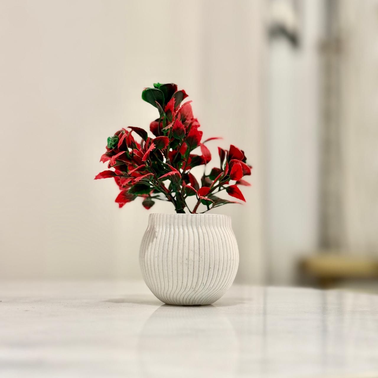 Miniature Tree planter for Home and Office Decor (Rose Red Color) - imixpress.com