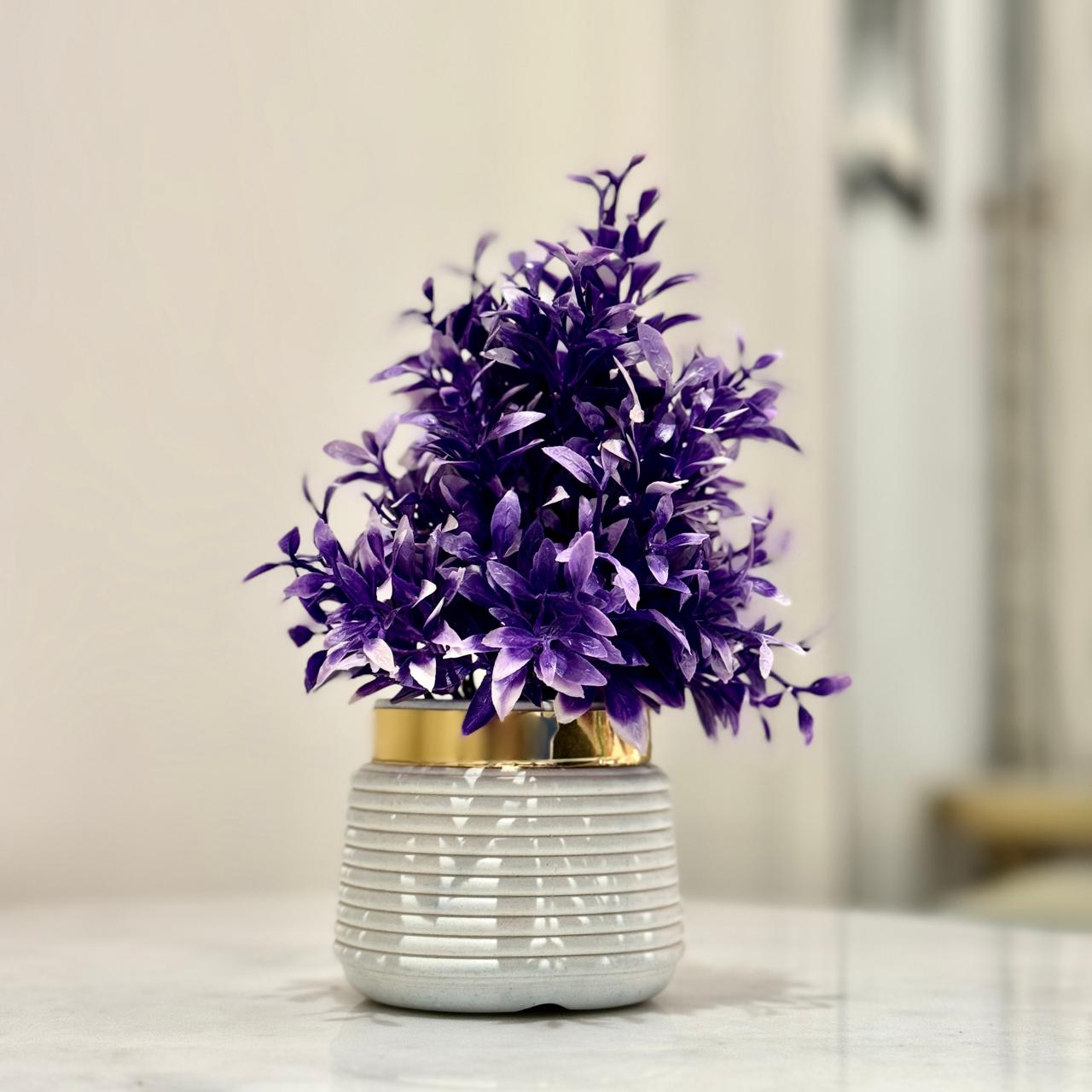 Miniature Tree planter for Home and Office Decor (Purple Color) - imixpress.com