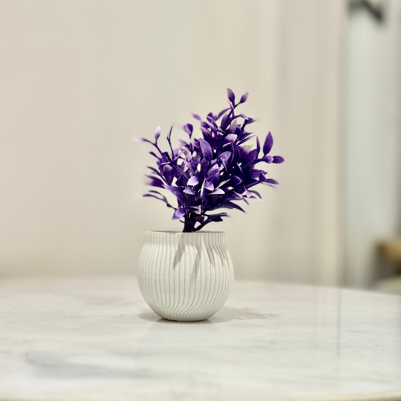 Miniature Tree planter for Home and Office Decor - imixpress.com
