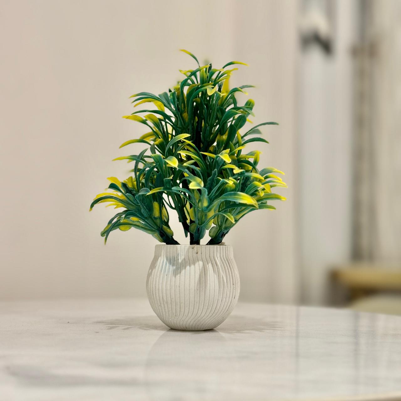 Miniature Tree planter for Home and Office Decor - imixpress.com