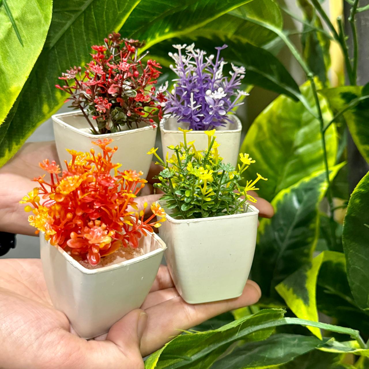 Set of 4 Mini Cute plants - imixpress.com