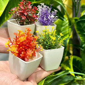 Set of 4 Mini Cute plants - imixpress.com
