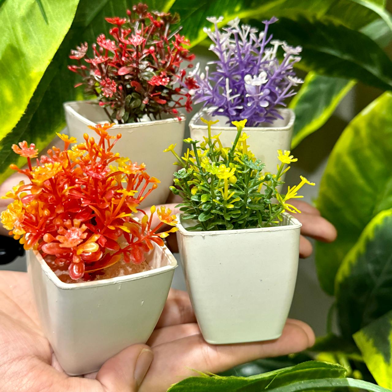 Set of 4 Mini Cute plants - imixpress.com
